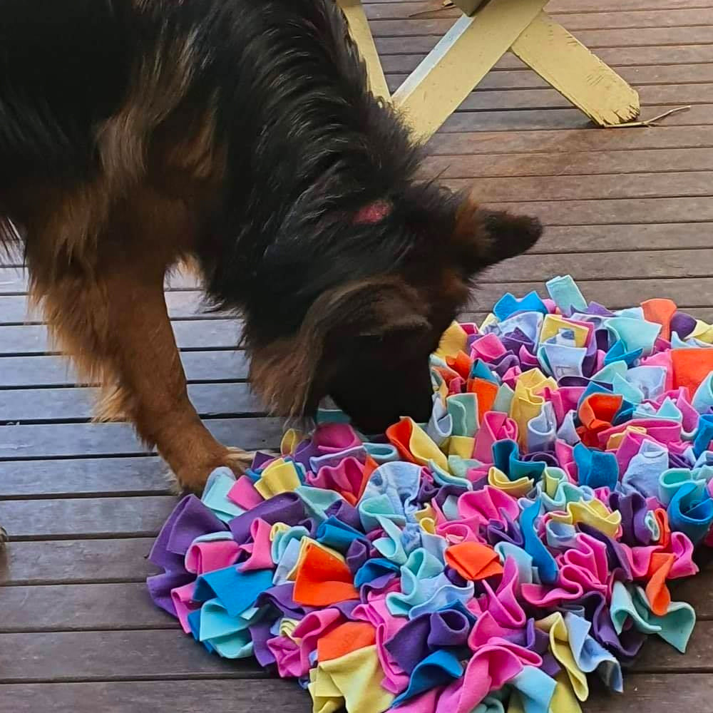 Snuffle Mats & Balls Doghouse Cafe