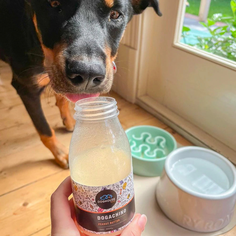 Beverages Doghouse Cafe