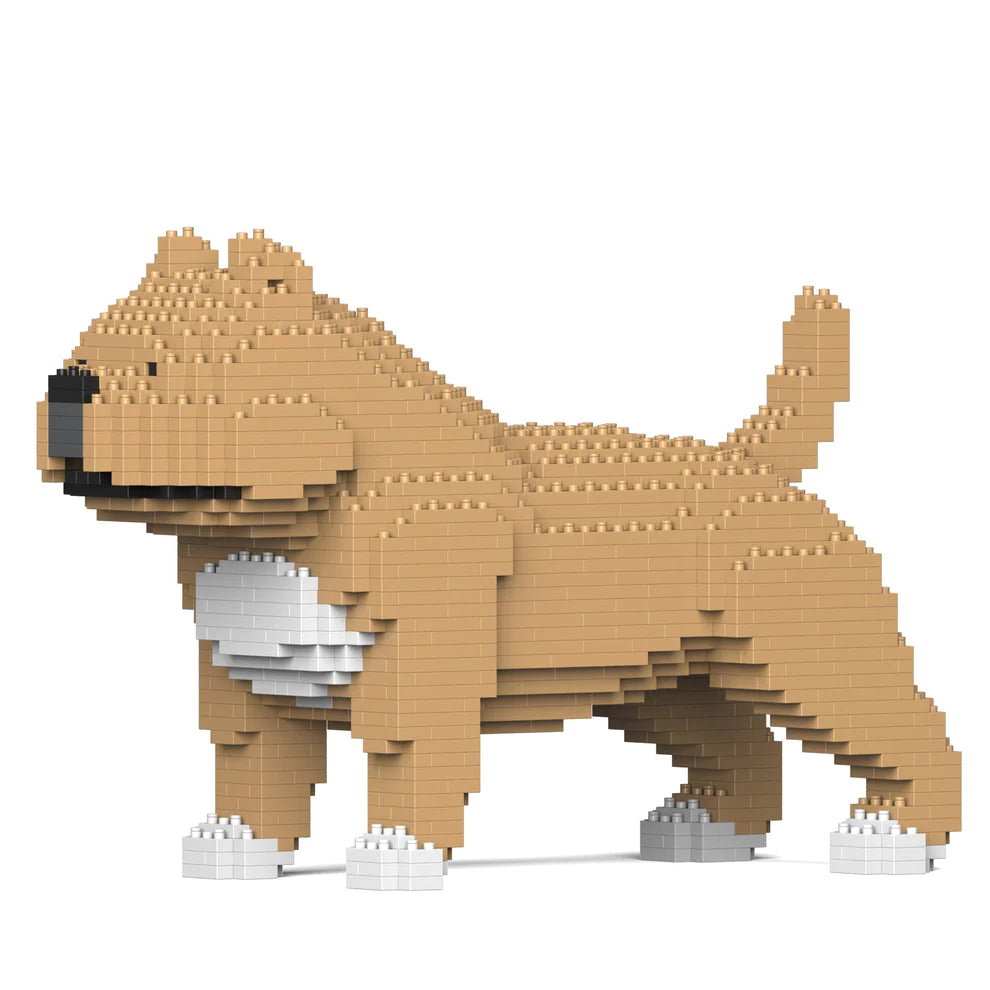 American Bully 01-M01