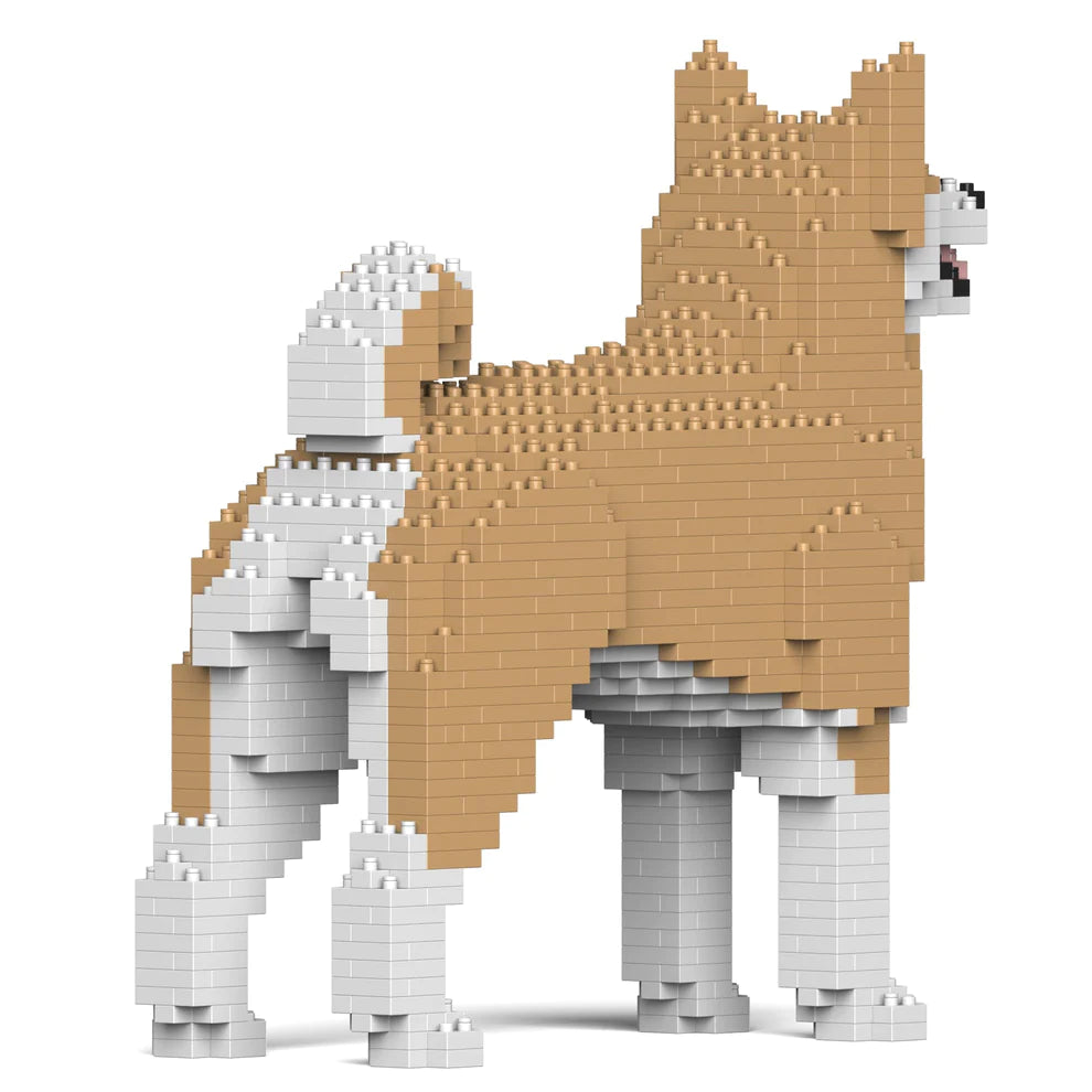 Akita Inu 01S-M02