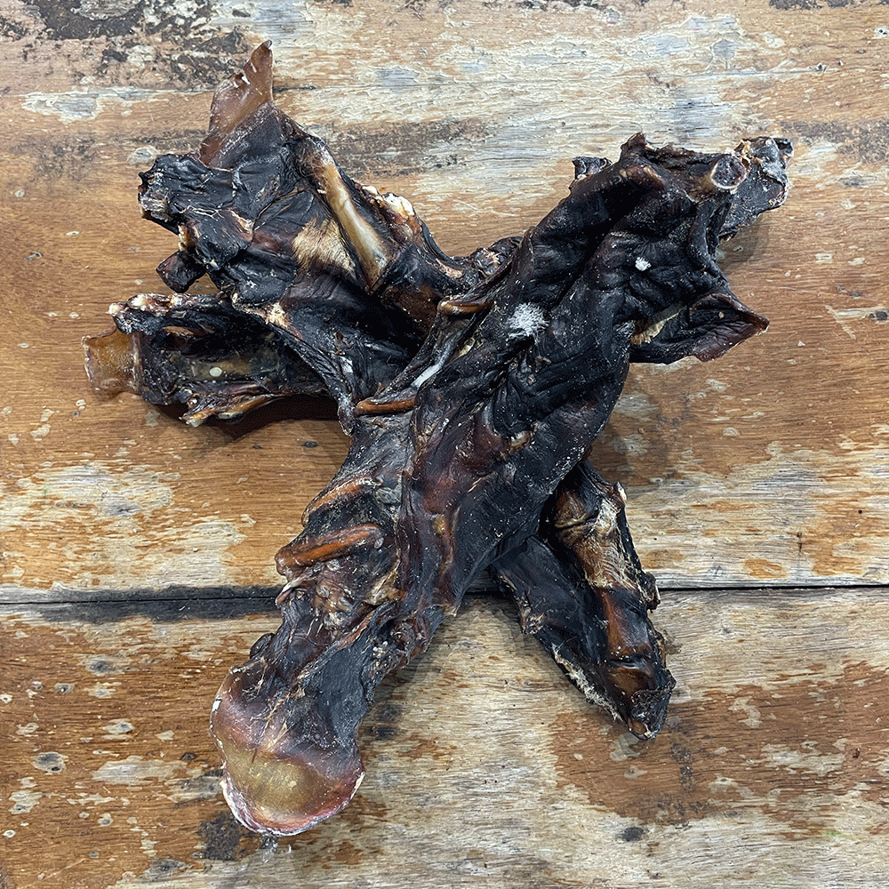 Kangaroo Sternum