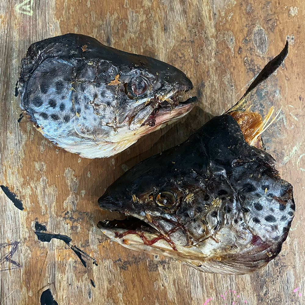 Salmon Heads