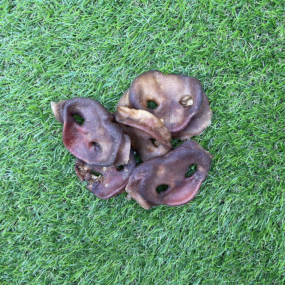 Pig Snout