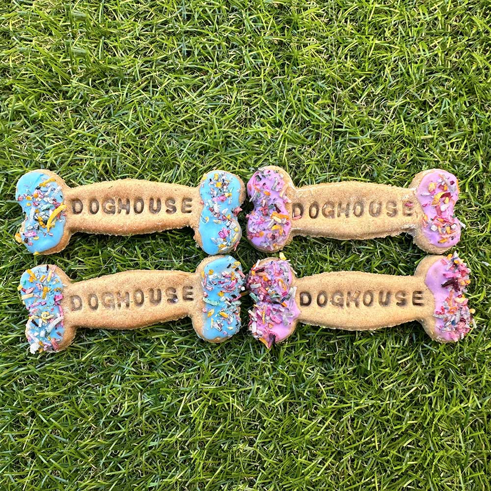 Baked Dog Biscuits (Assorted Colours)