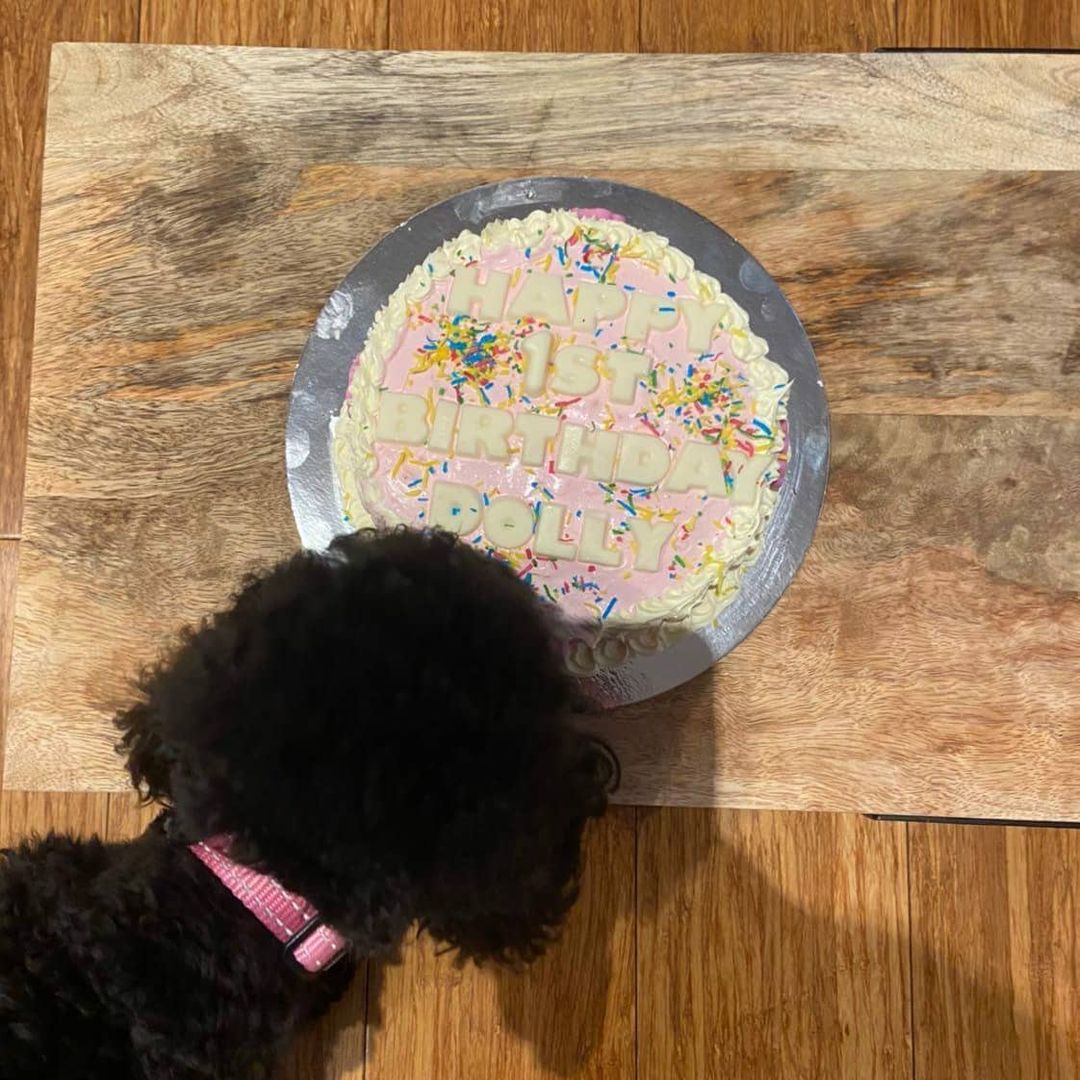 Medium Dog Birthday Cake
