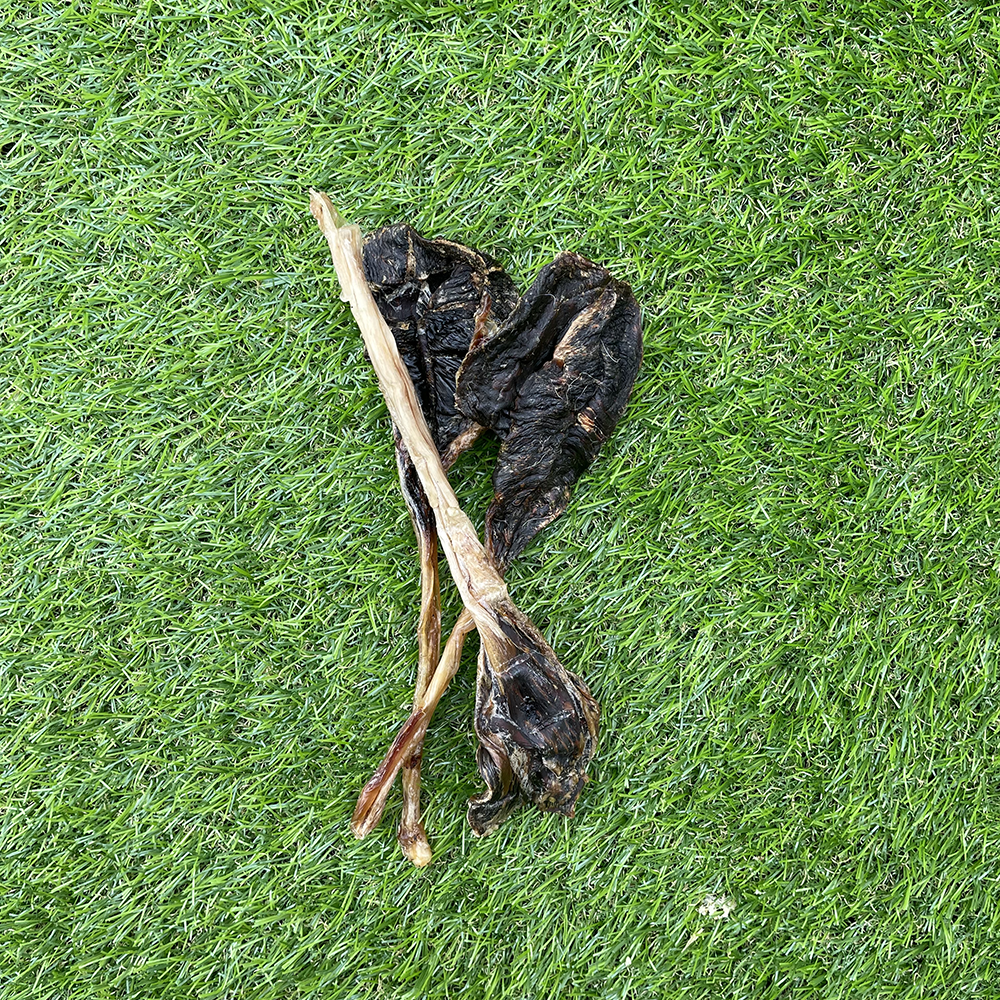 Kangaroo Tendons