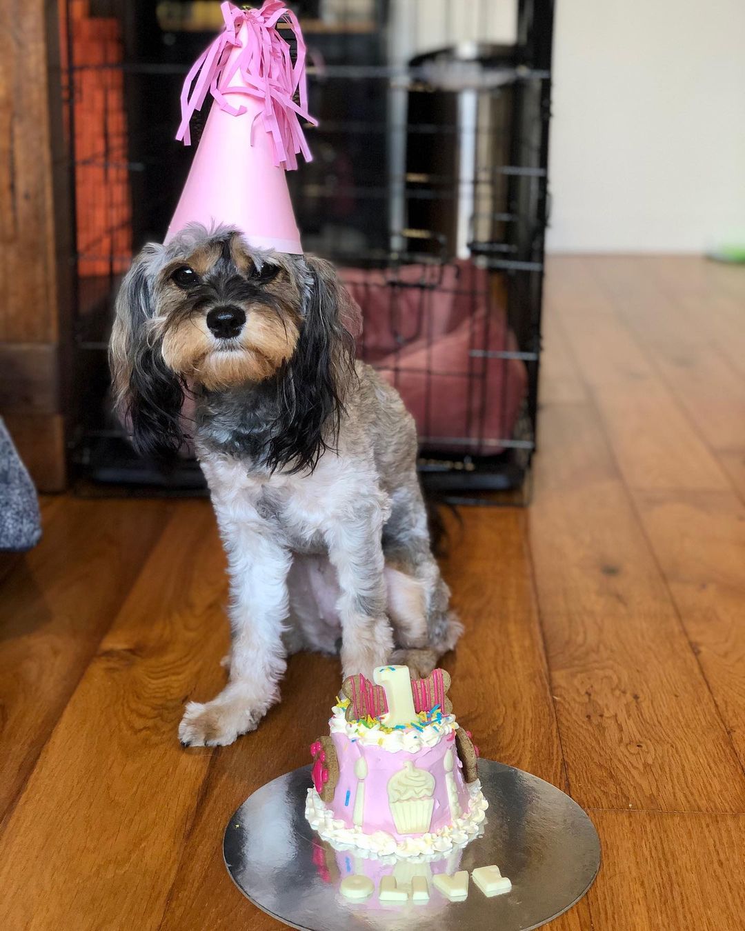 Small Dog Birthday Cake