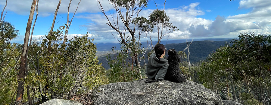 A Tail-Wagging Adventure: Essentials for Hiking with Your Dog