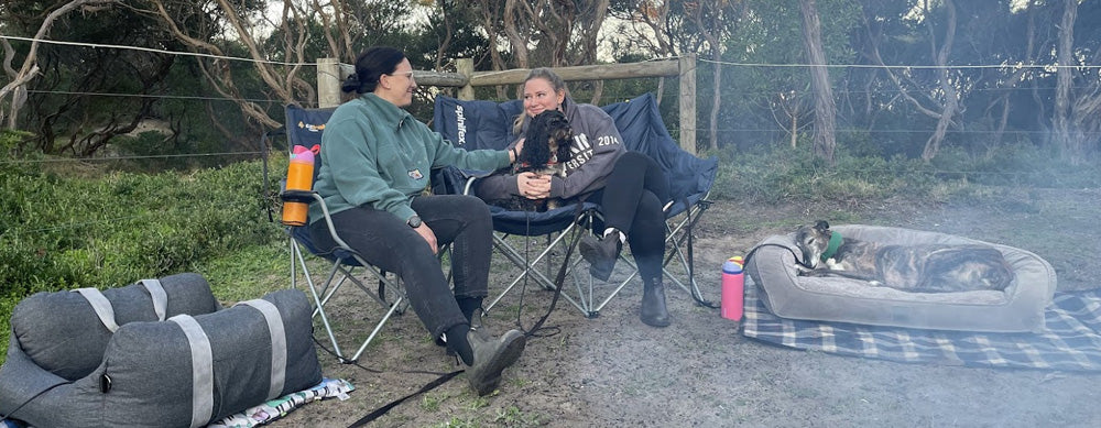 How to Make Camping with Your Dog Easy and Stress-Free