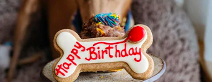 Does Your Dog Have A Birthday Coming Up?