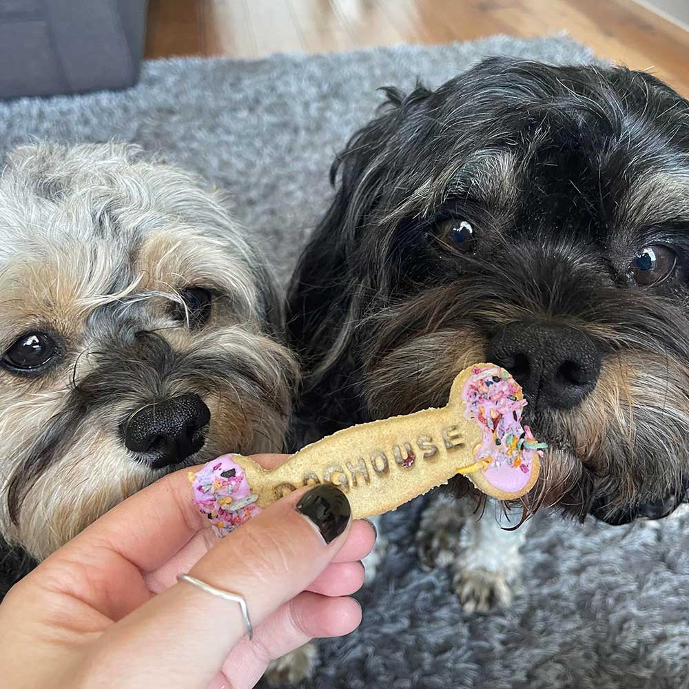 Biscuits & Donuts