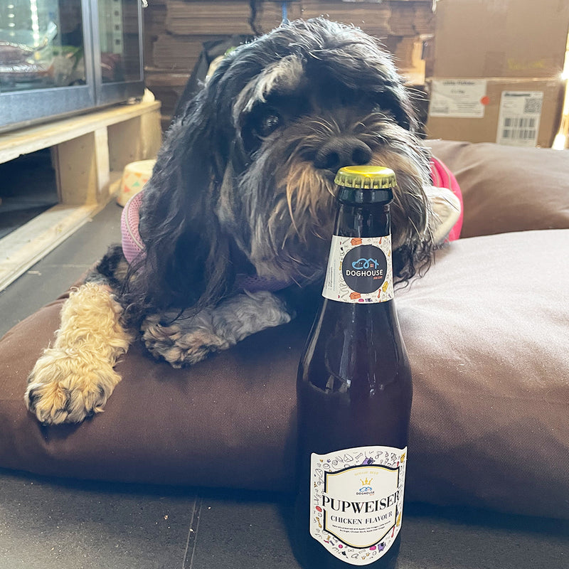 Dog Wine & Beer