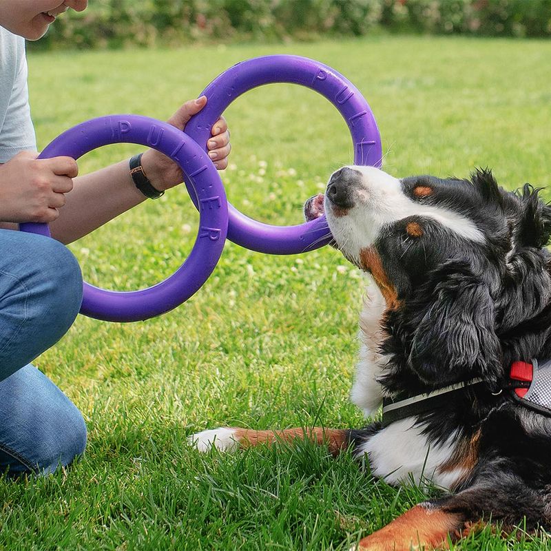 Puller Tug Toys