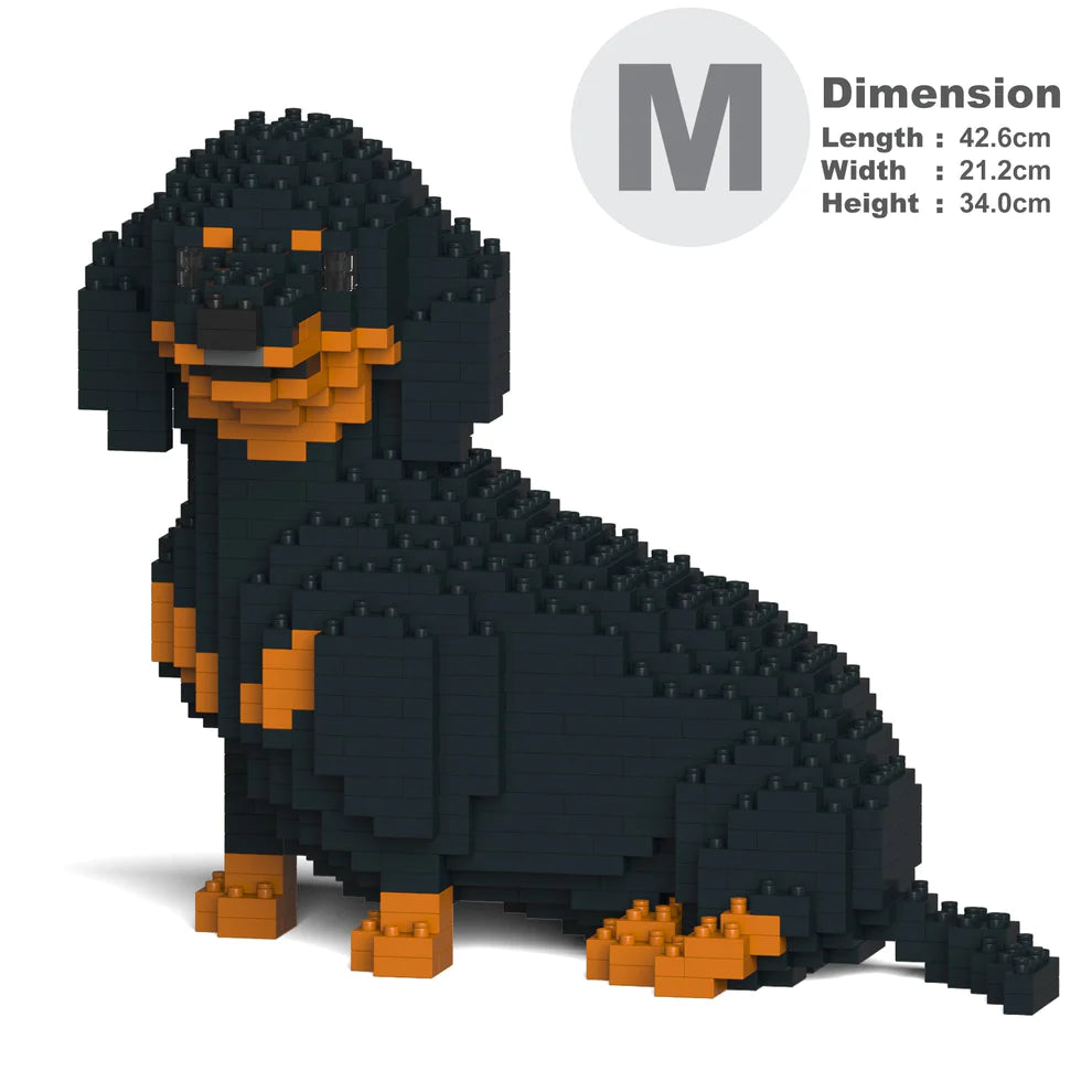 Dachshund 05-M01