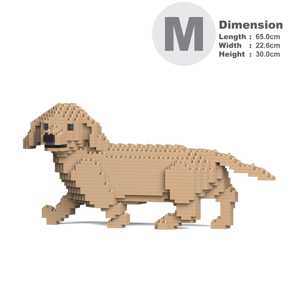 Dachshund 06-M03