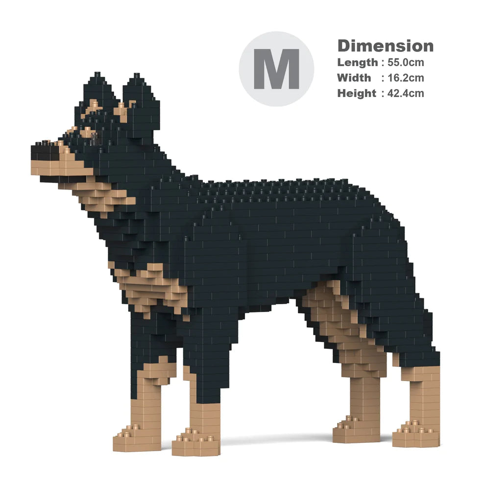Australian Kelpie 01S