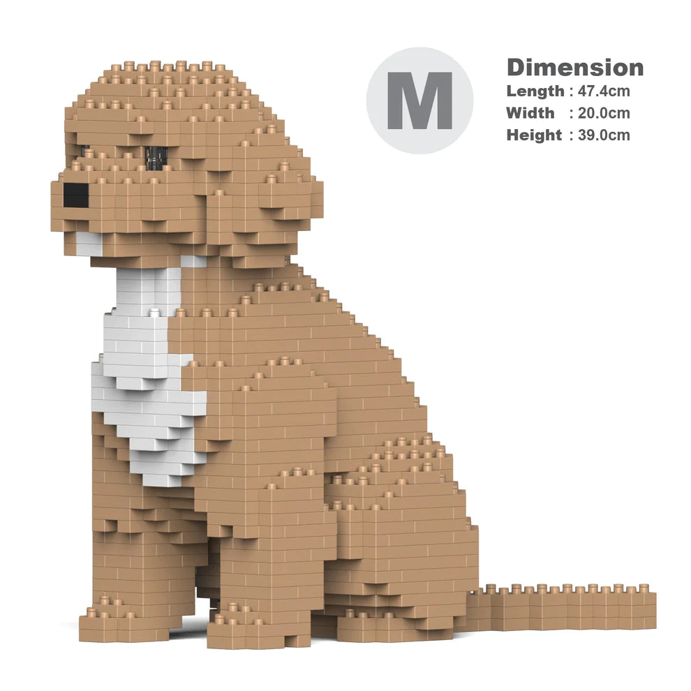 Cavoodle 01-M01