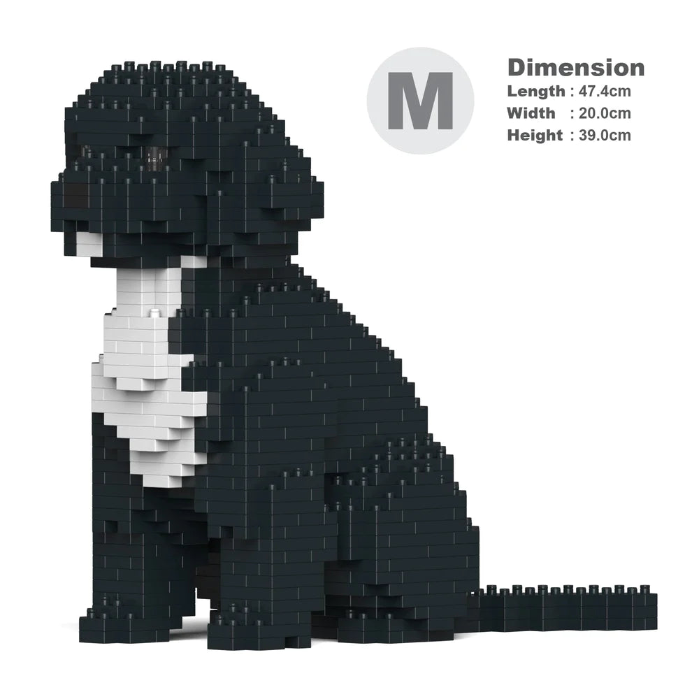 Cavoodle 01-M03
