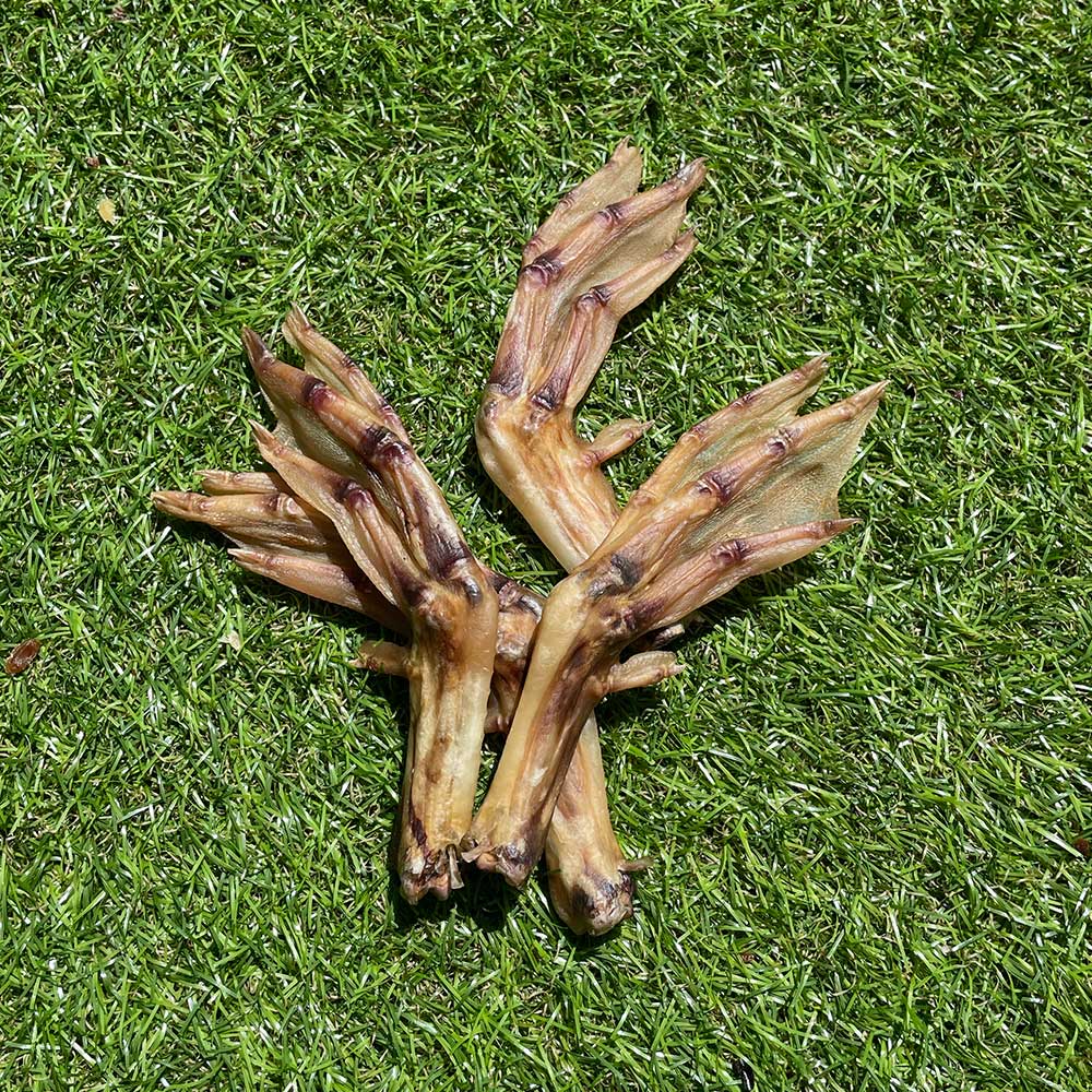 Duck Feet