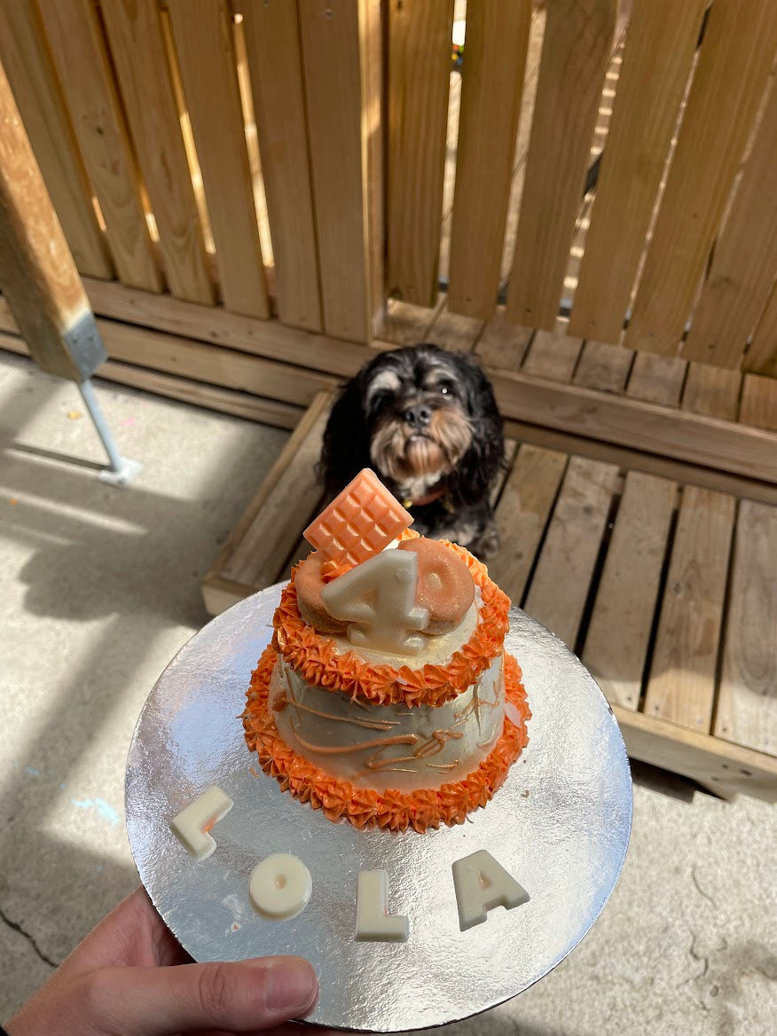 Dog Birthday Party Package - Basic