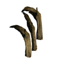 Kangaroo Leg