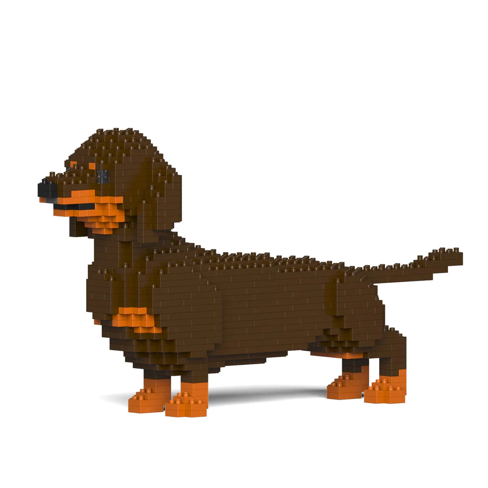 Dachshund 02-M02