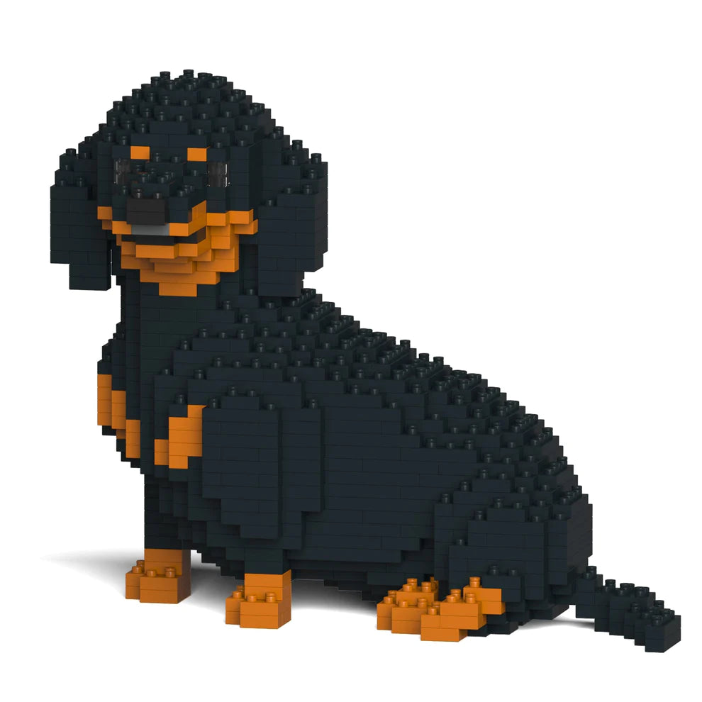 Dachshund 05-M01