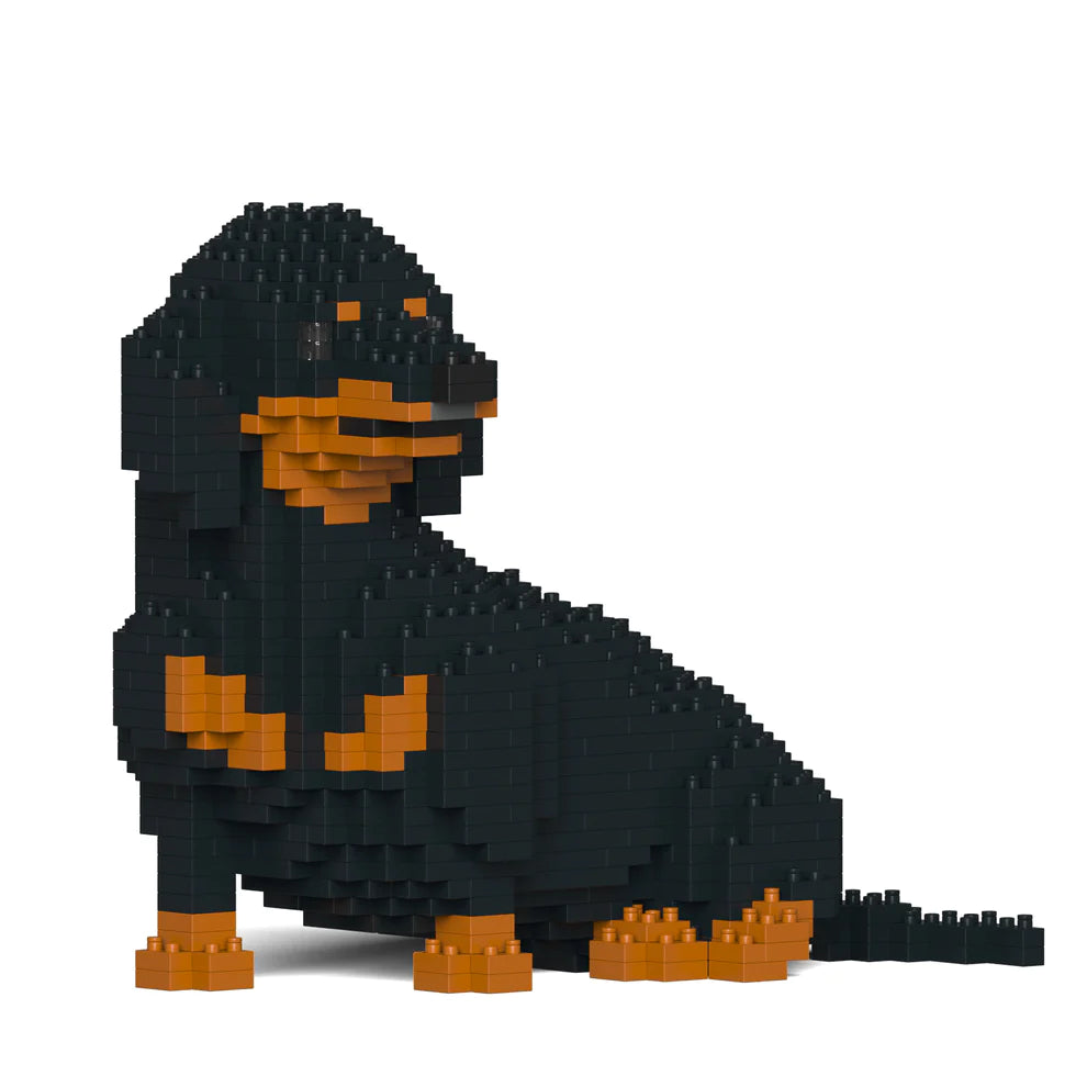 Dachshund 05-M01