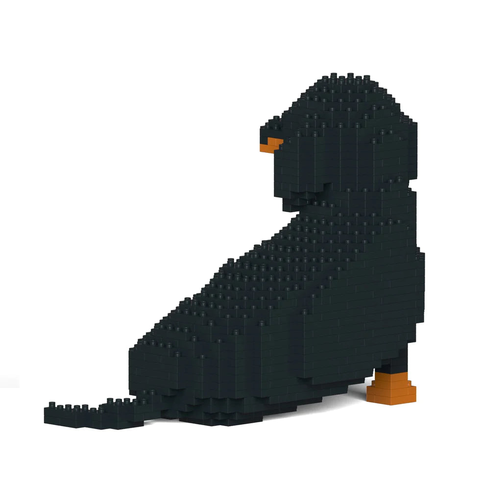 Dachshund 05-M01