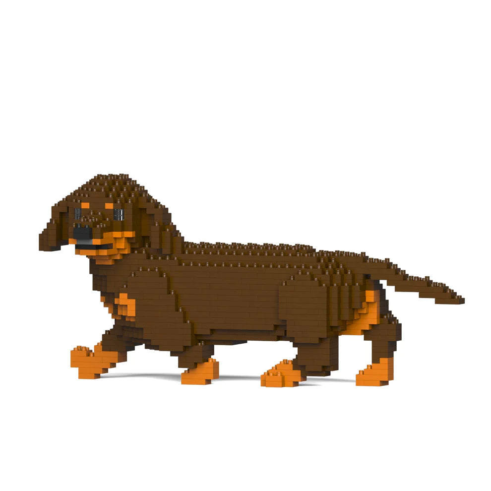 Dachshund 06-M02