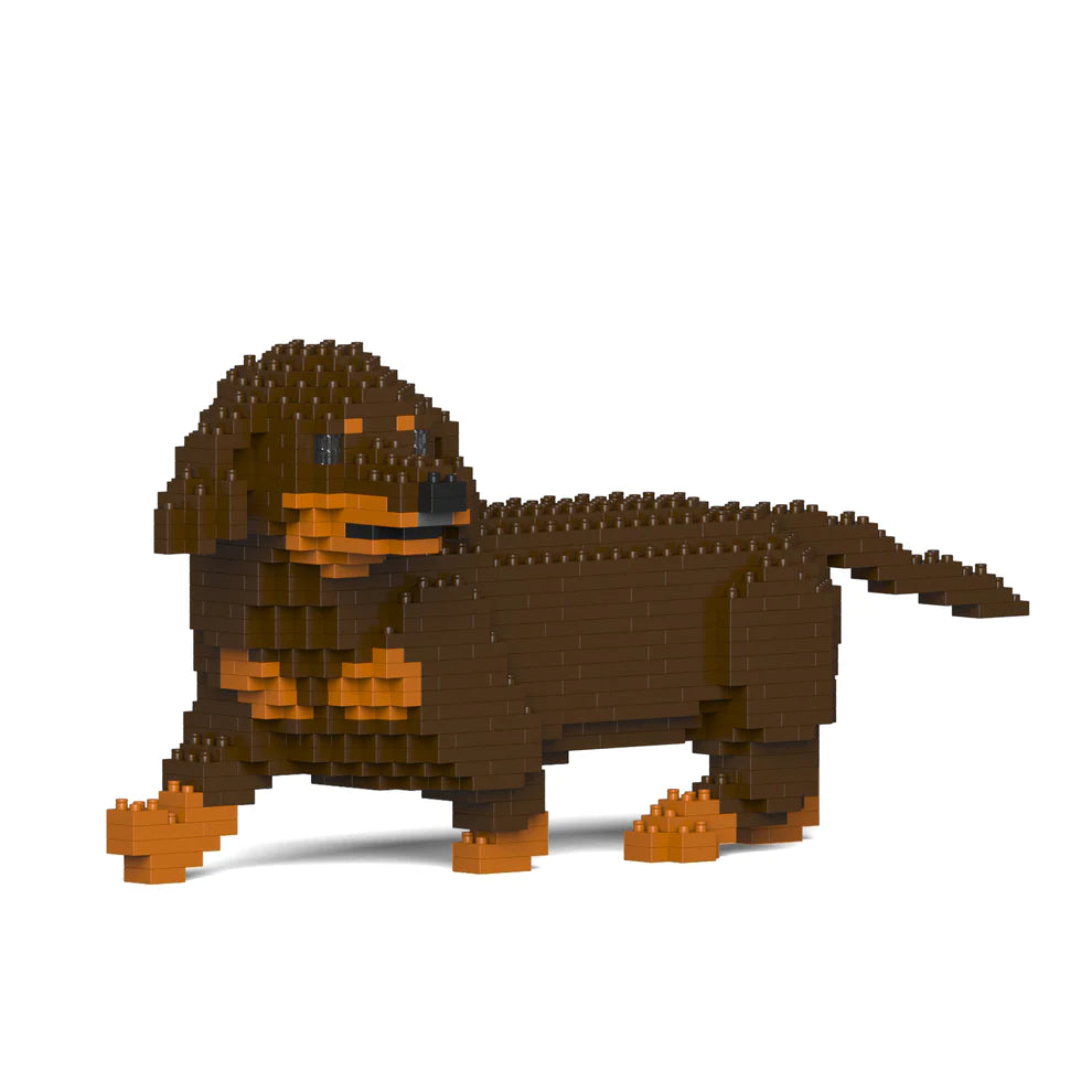 Dachshund 06-M02