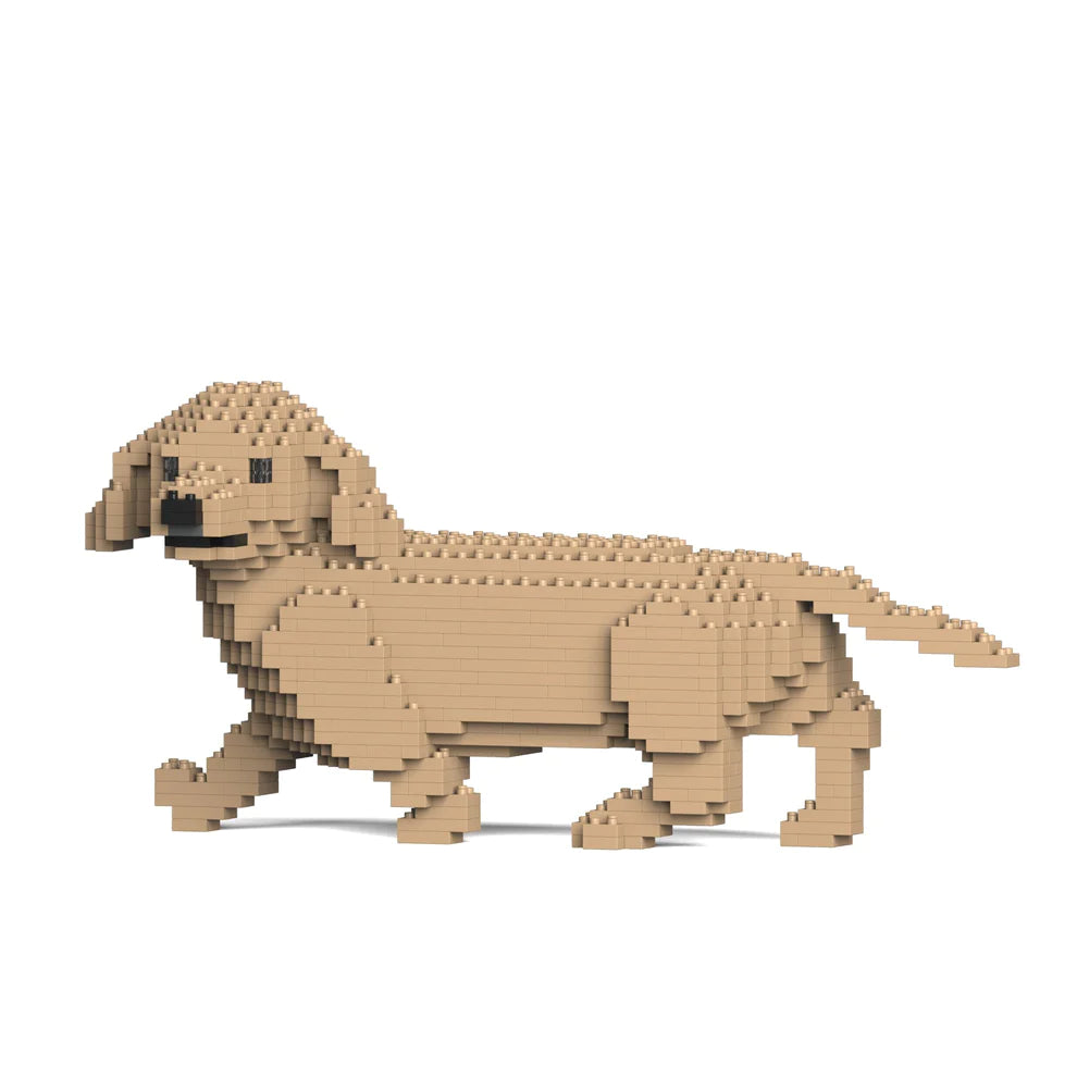 Dachshund 06-M03