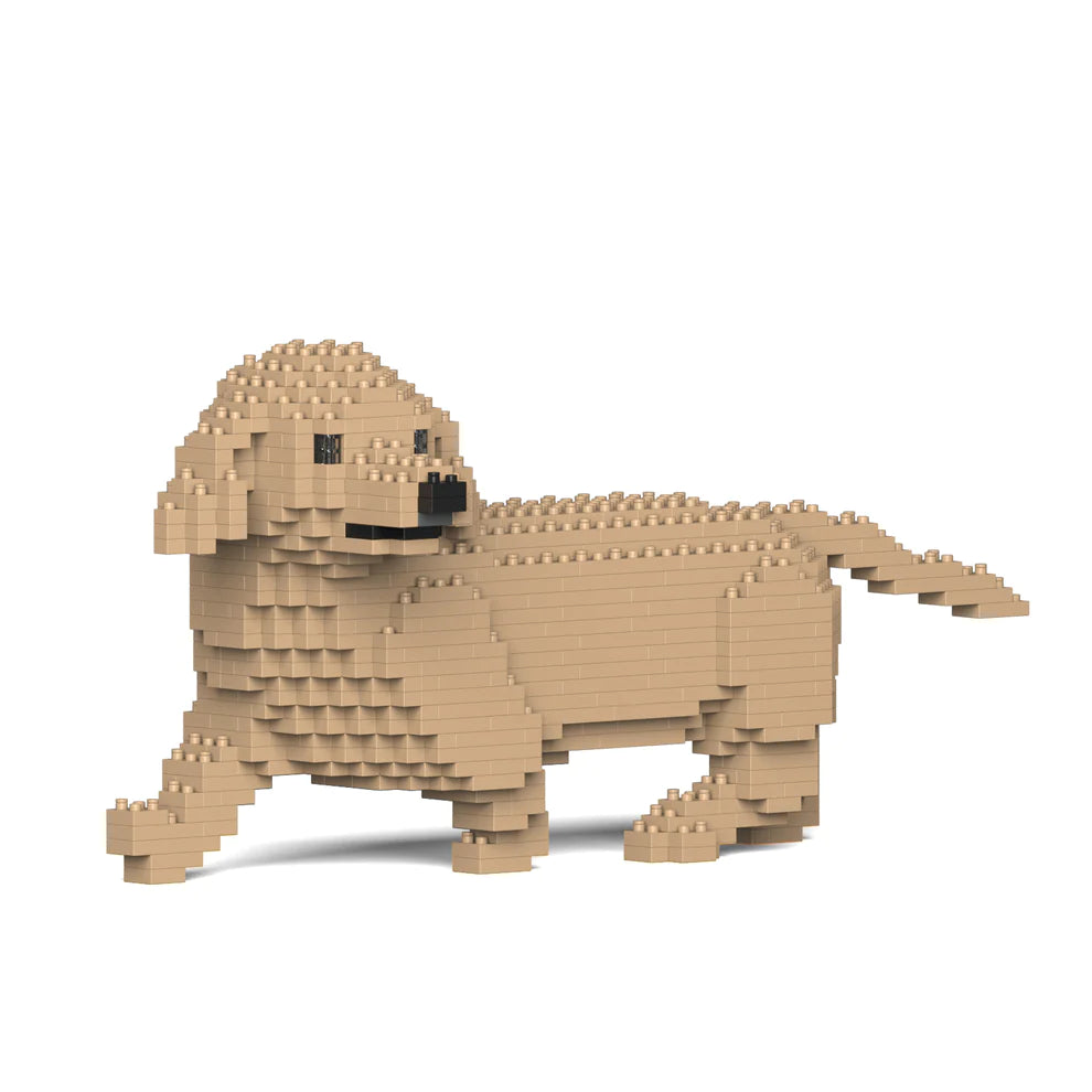 Dachshund 06-M03