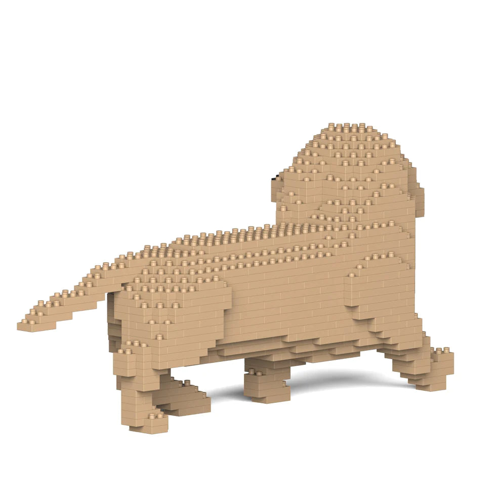 Dachshund 06-M03