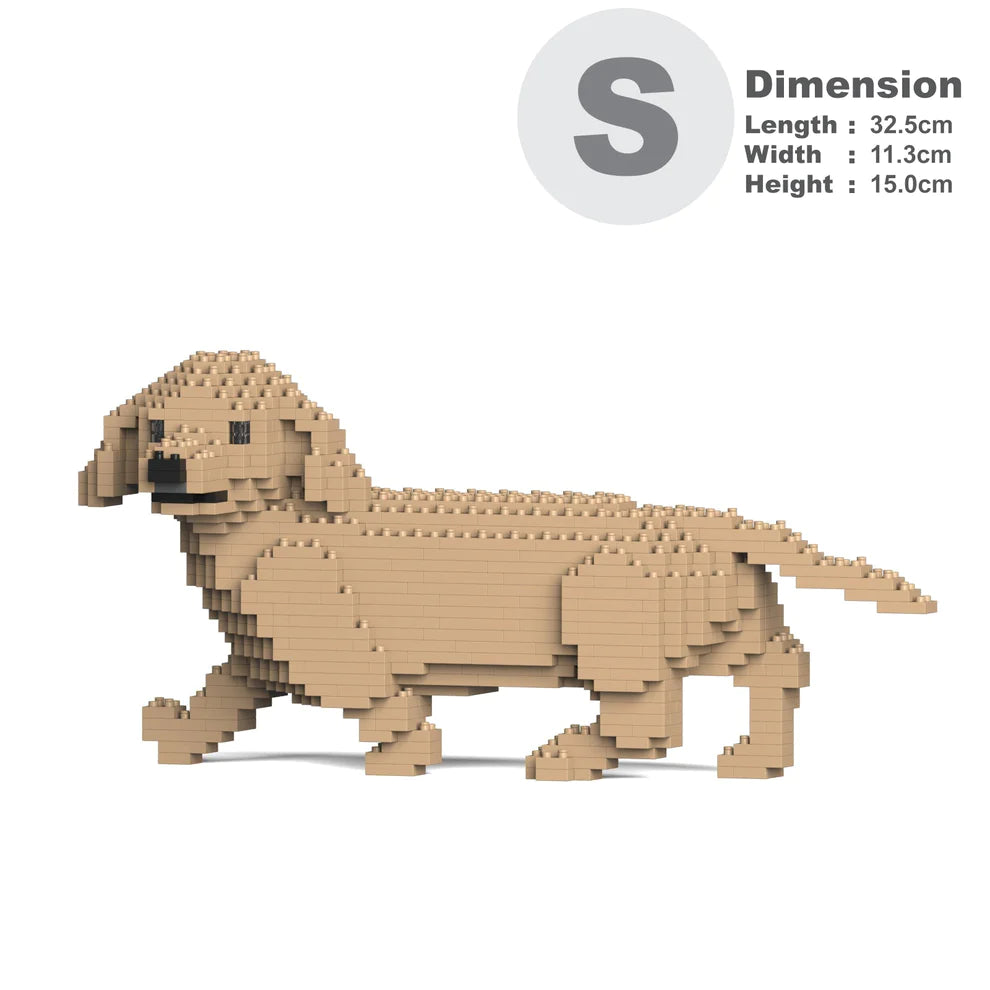 Dachshund 06-M03