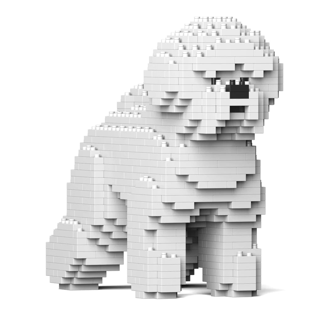 Bichon Frise 01