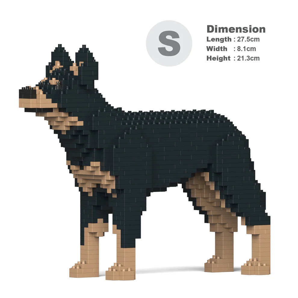 Australian Kelpie 01S