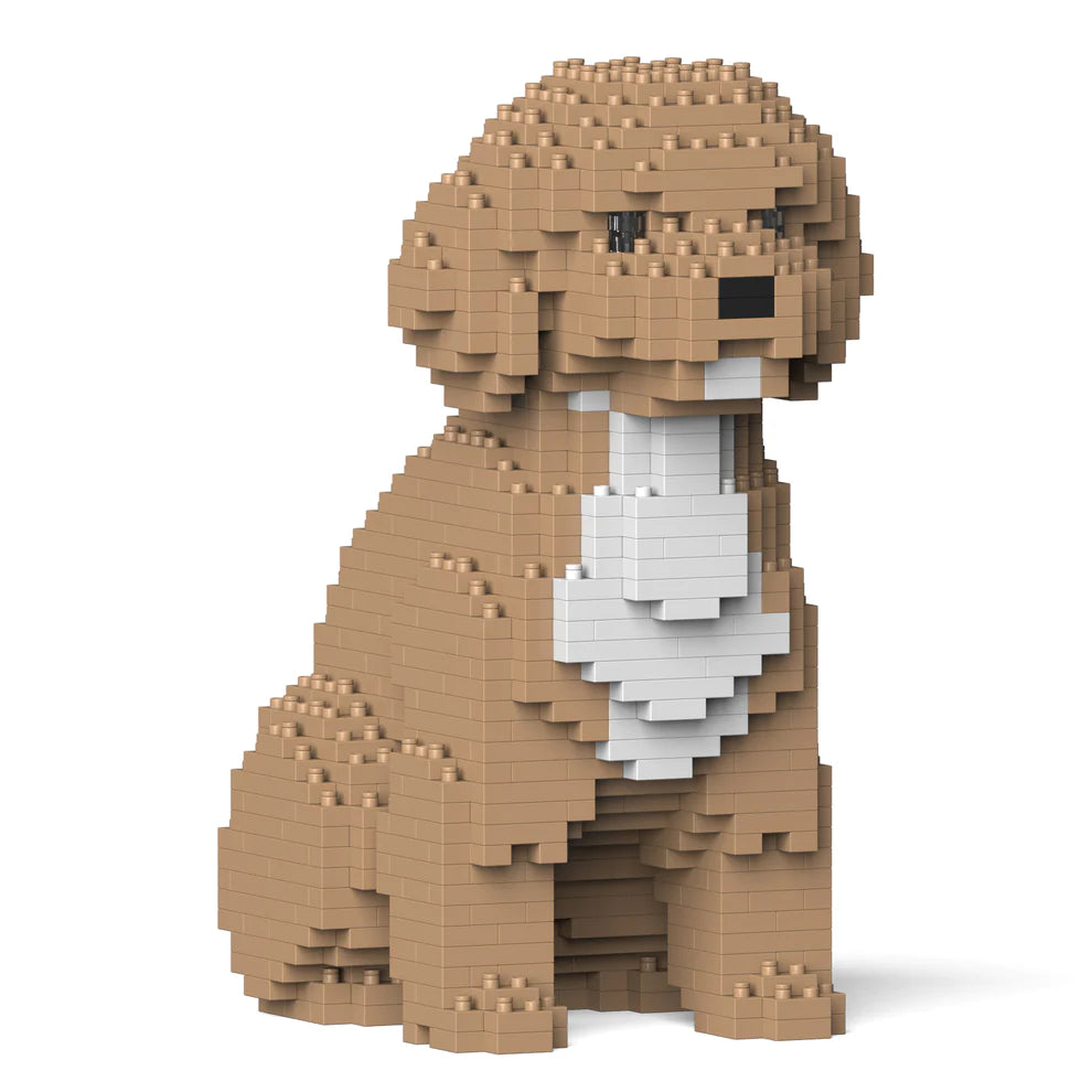 Cavoodle 01-M01