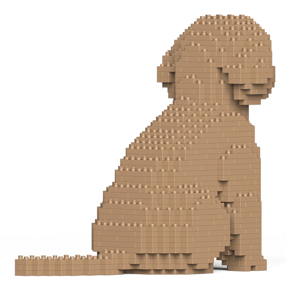 Cavoodle 01-M01
