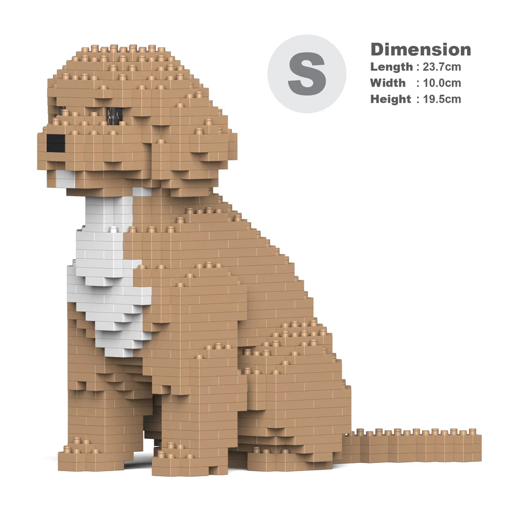 Cavoodle 01-M01