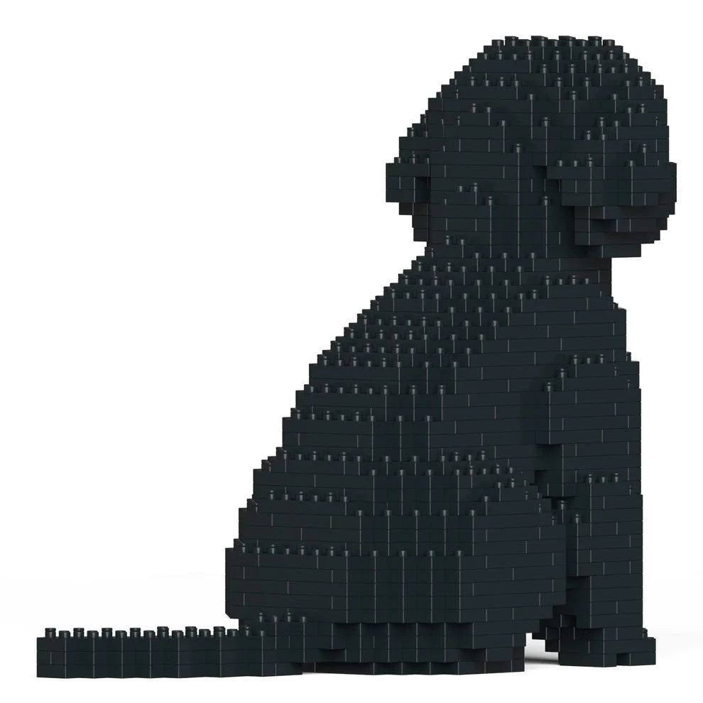 Cavoodle 01-M03