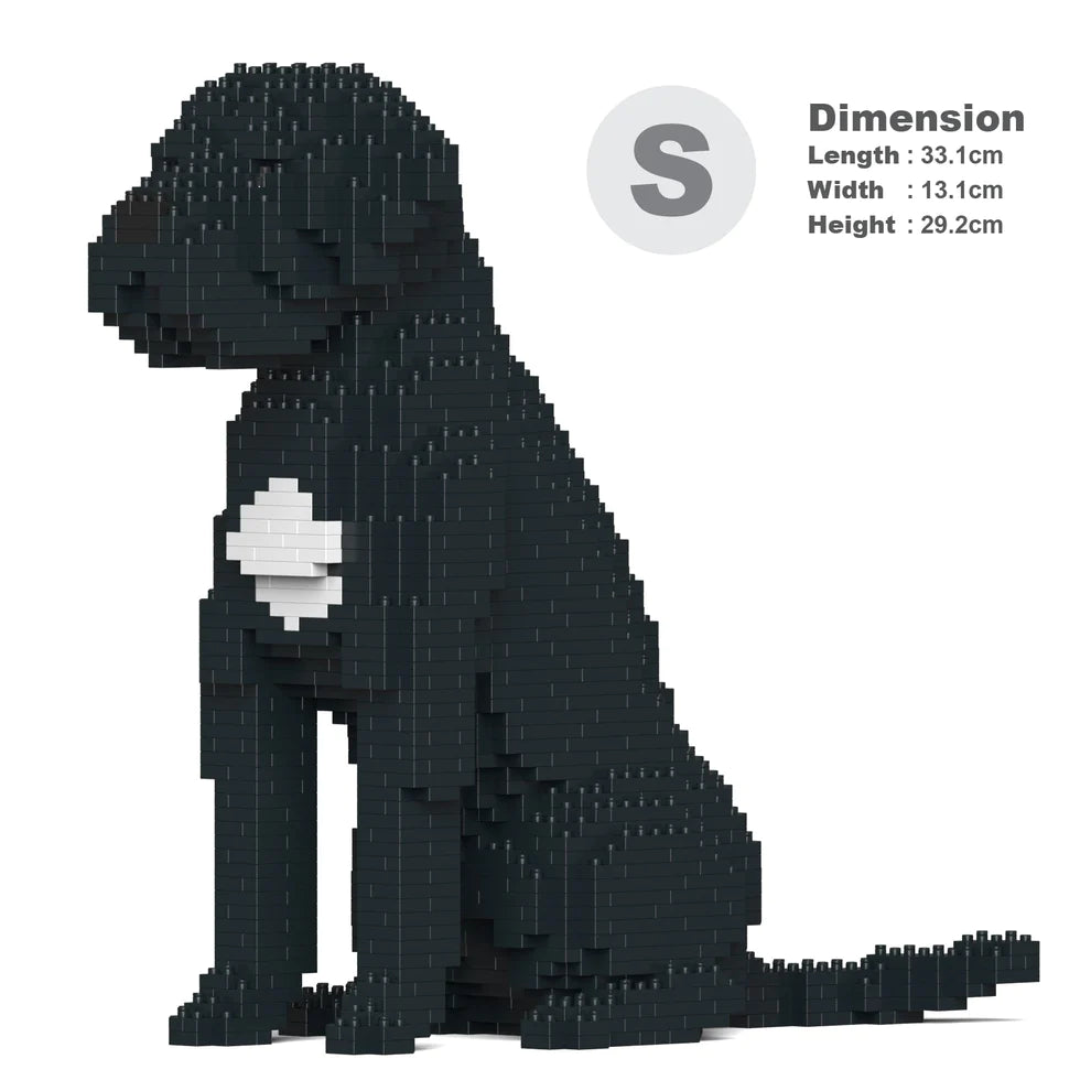 Cane Corso Dog 01-M01
