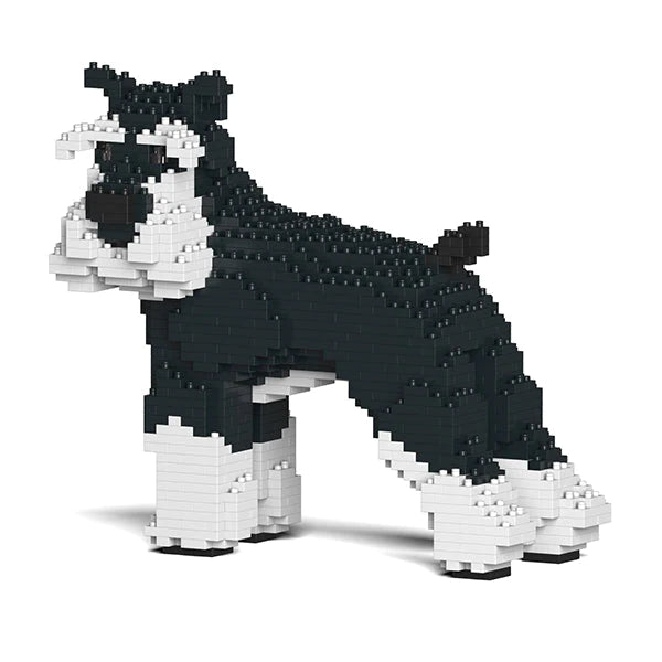Standard Schnauzer 02-M02