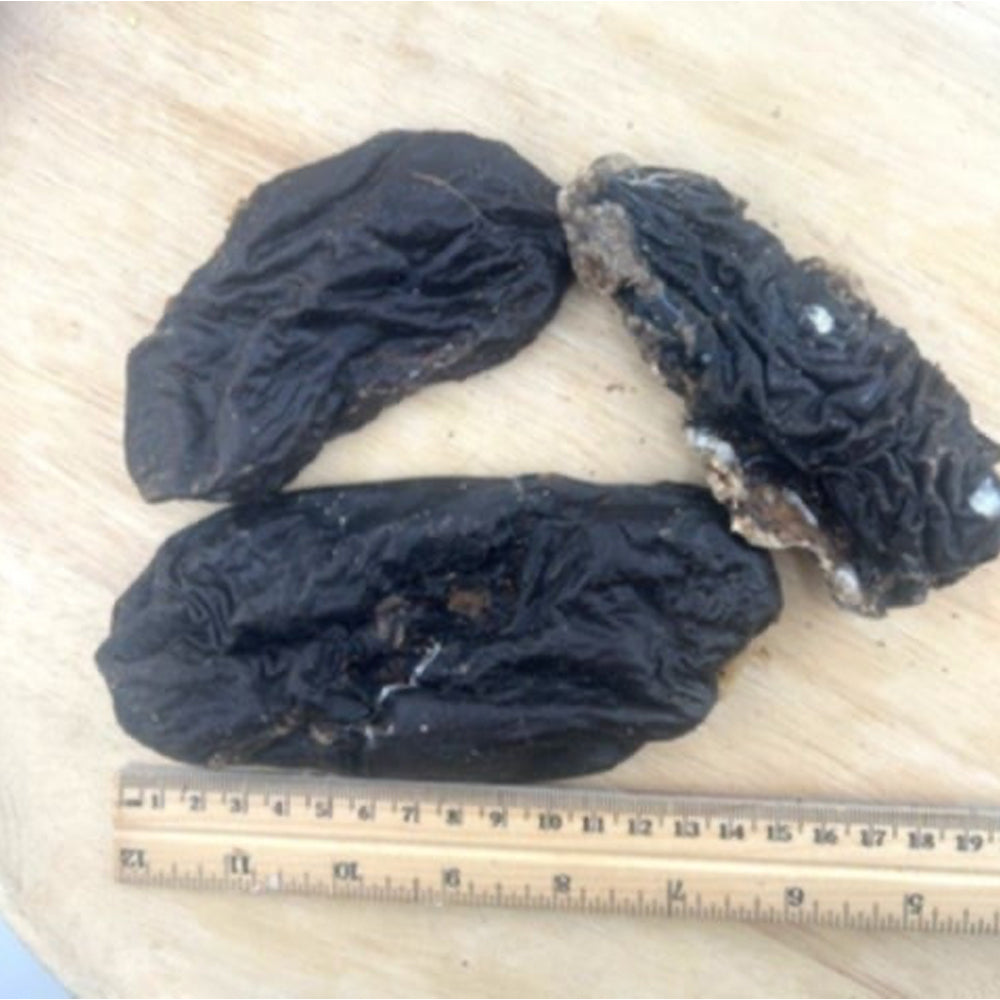 Venison Kidney