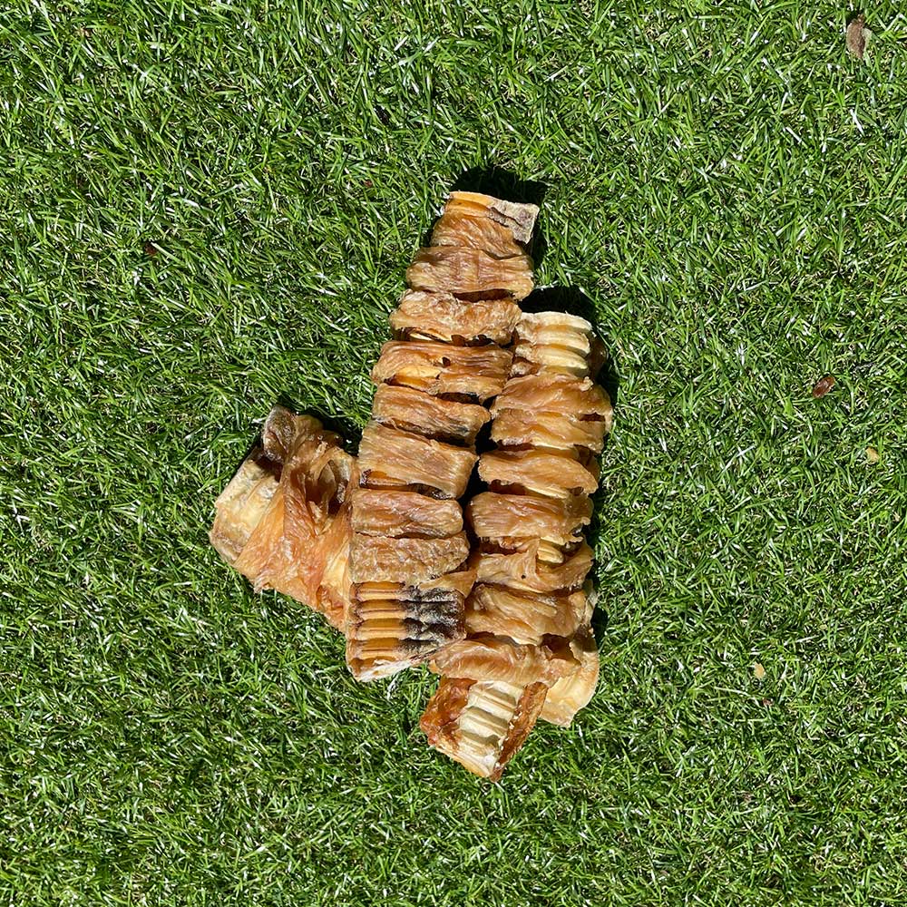 Chicken Wrapped Shark Cartilage