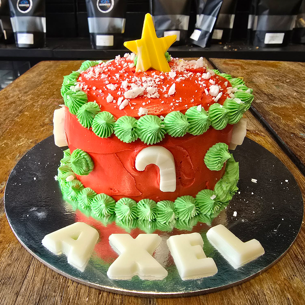 Christmas Dog Cake