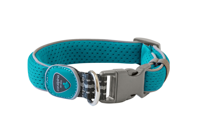 Coralpina Cinquetorri Dog Collar - Turquoise