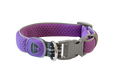 Coralpina Cinquetorri Dog Collar - Purple