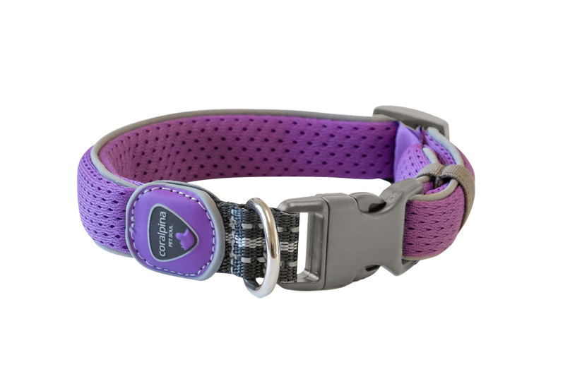 Coralpina Cinquetorri Dog Collar - Purple