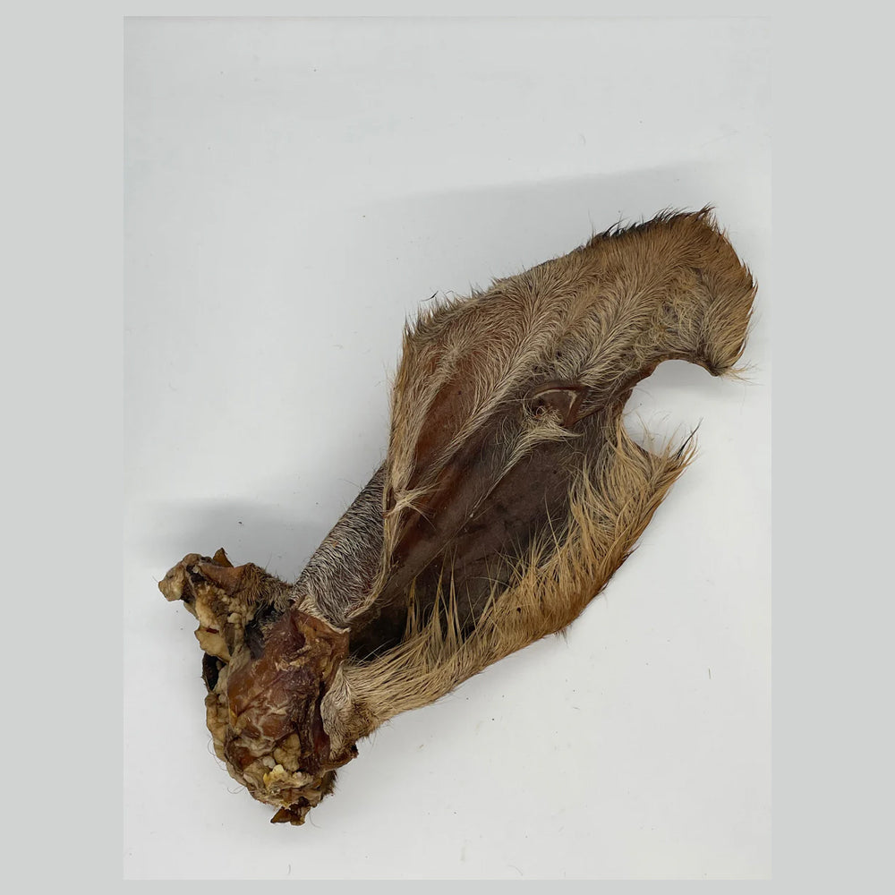 Cow Ear with Fur